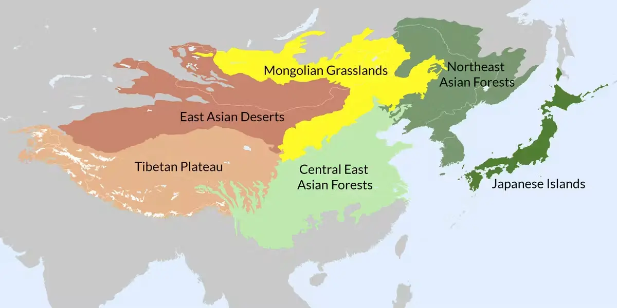 Eurochina, la otra Eurasia